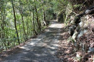 太龍寺への登り若杉遍路道（2016.3）