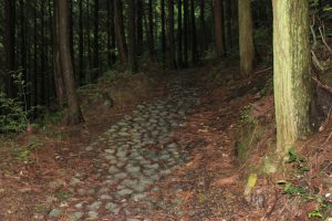 石畳の遍路道（2016.5）