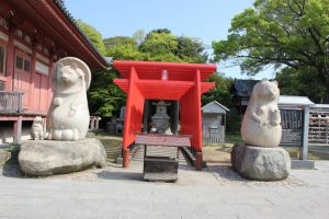 本堂横になぜ稲荷神社（2016.5）
