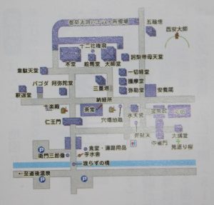 tm_51