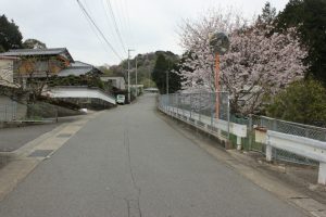 春には沿線に桜が（2017.4）