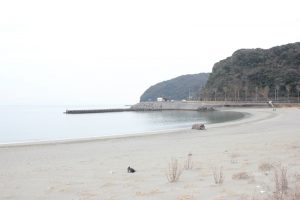 青龍寺への海岸遍路道（2018.2）