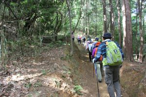 端山休憩所から整備された登り道（2018.5）