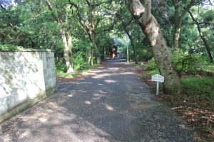 八幡神社前の遍路道（2018.5）